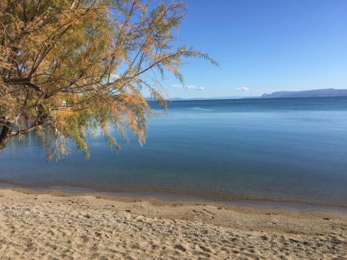 Фотография гостиницы Mpiritis Mare