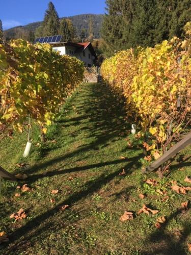 Фотография гостевого дома Ferienhaus Feil