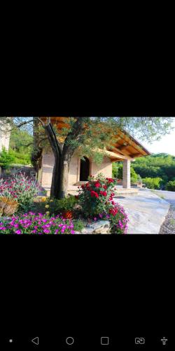 Фотография базы отдыха Agriturismo la Tana