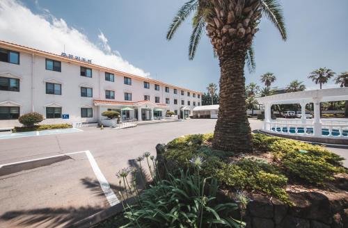 Фотография гостиницы Jungmun Resort Jeju