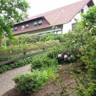 Фотографии гостиницы
Forsthaus Alter Foerster