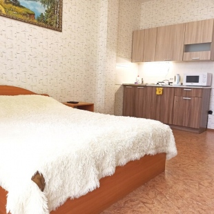 Фотография квартиры Апартаменты Студия У Пермской ярмарки