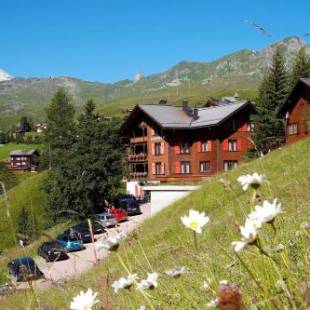 Фотографии гостиницы 
            Hotel Garni Sonnenhalde