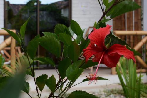 Фотография гостевого дома CASITA MADAME