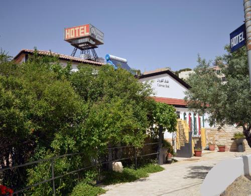 Фотографии гостиницы 
            Cairwan Hotel