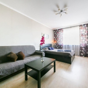 Фотография квартиры Апартаменты Hanaka Перовская