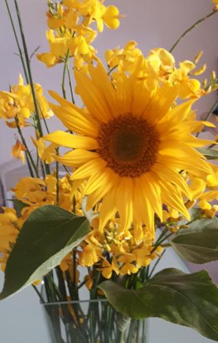 Фотография мини отеля Il Girasole del Lago