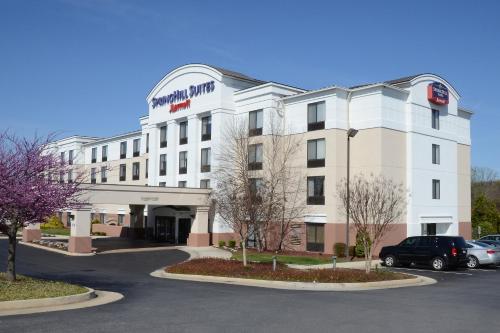 Фотография гостиницы SpringHill Suites by Marriott Lynchburg Airport/University Area