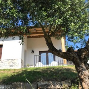 Фотография гостевого дома LA CASINA DEL OLIVO