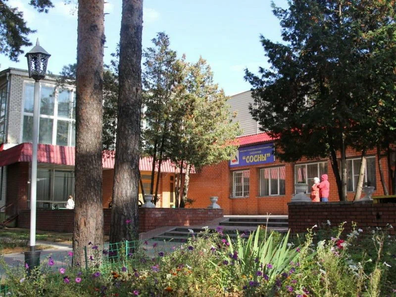 Фотография санатория СОСНЫ