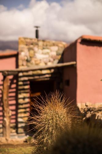 Фотография гостиницы Villa del Cielo