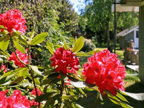 Фотография гостевого дома Holiday home Væggerløse XXXII