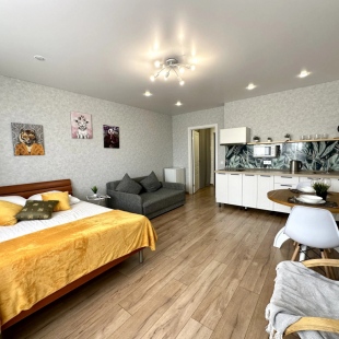 Фотография квартиры Квартира Студия на Улице Пролетарская 300