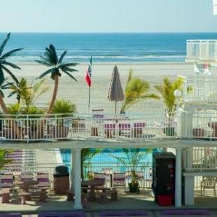 Фотографии мотеля
Coliseum Ocean Resort