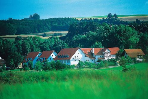 Фотография гостиницы Landhotel Alte Mühle