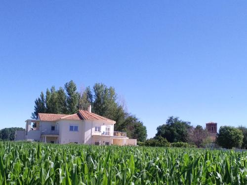 Фотография гостевого дома Casa Miguel & Sally