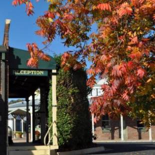 Фотографии мотеля
Ten Dollar Town Motel