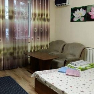 Фотография гостиницы Салия