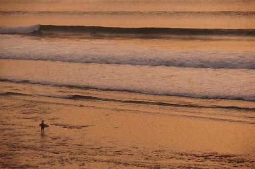 Фотография мини отеля Willy Homestay