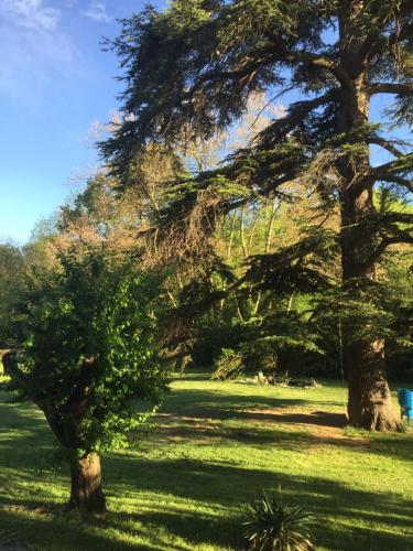 Фотография гостевого дома Les cèdres