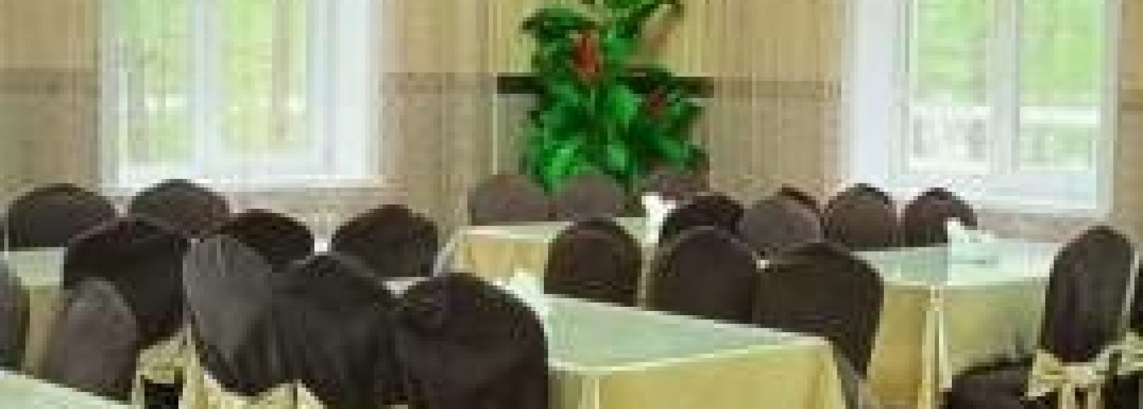 Фотография банкетного зала Орлик