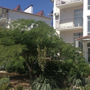 Фотография мини отеля Вербена-Пляж