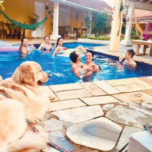 Фотография мини отеля MOA Pousada