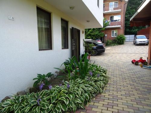 Фотография гостевого дома Диво-Золотые пески