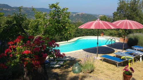 Фотография мини отеля B&B Borgo Tepolini