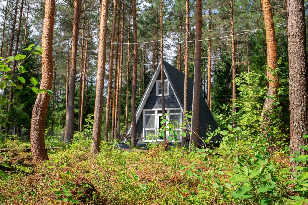 Фотография Коттеджа Шале Пикник 2.0