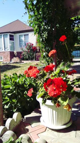 Фотографии гостевого дома
У Игоревича