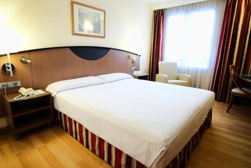 Фотография гостиницы Hotel Albret