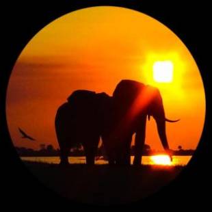 Фотографии гостевого дома
Elephant Trail Guesthouse and Backpackers