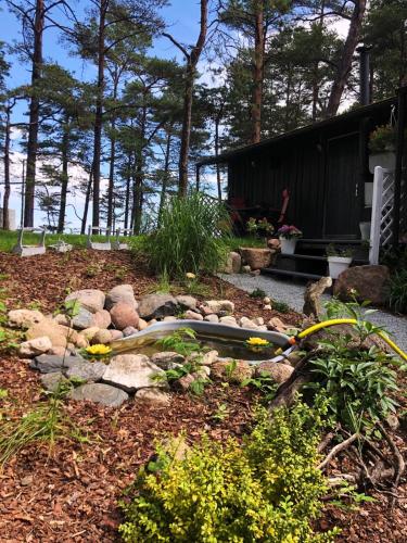 Фотография гостевого дома Pie jūras