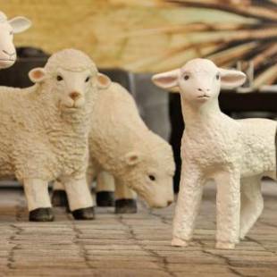 Фотографии гостиницы
Best Western Hotel Lamm