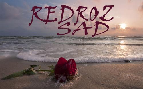Фотография гостевого дома Redroz sad