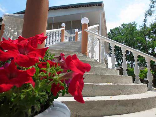 Фотография гостиницы Greenland