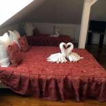 Фотография гостевого дома Pensiunea Vila Gabriel