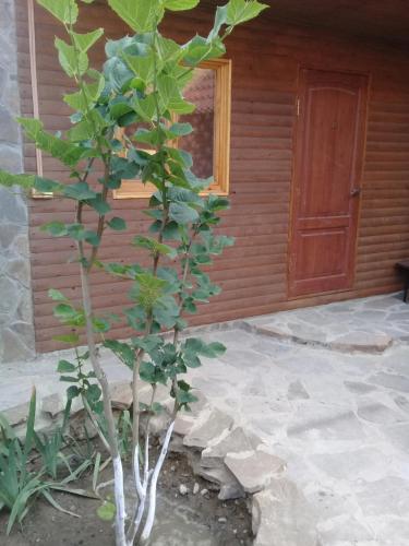 Фотографии мини отеля
Шато