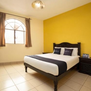 Фотография гостиницы Hotel Terracota