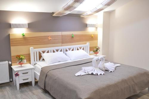 Фотографии гостиницы 
            География