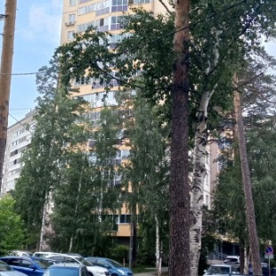 Фотография квартиры Квартира Лайф