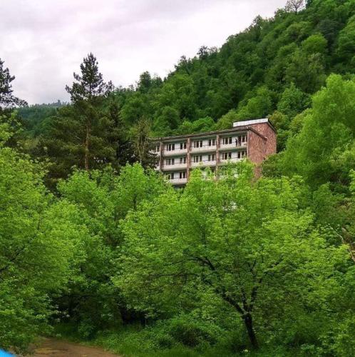 Фотография гостиницы Лори