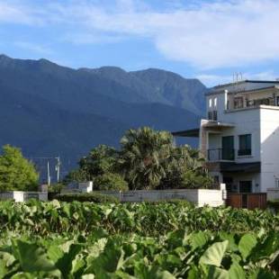 Фотографии мини отеля 
            Zoe and Spark B&B