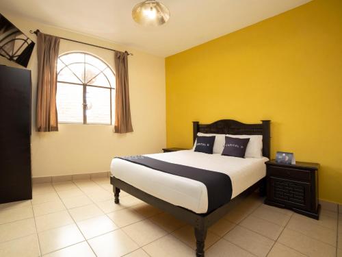 Фотография гостиницы Hotel Terracota