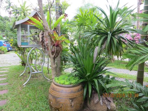 Фотография гостевого дома Choengmon Residence