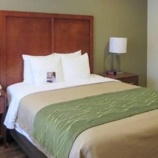Фотографии гостиницы
Comfort Inn Bishop