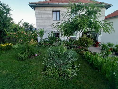 Фотография гостевого дома Sobe Ozrenka