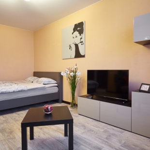 Фотография квартиры Апартаменты на Марковникова 10а