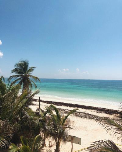 Фотография кемпинга Chavez Eco Beach Camping and Cabañas